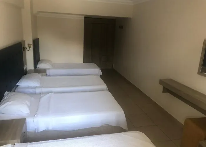 哈姆雷酒店 酒店