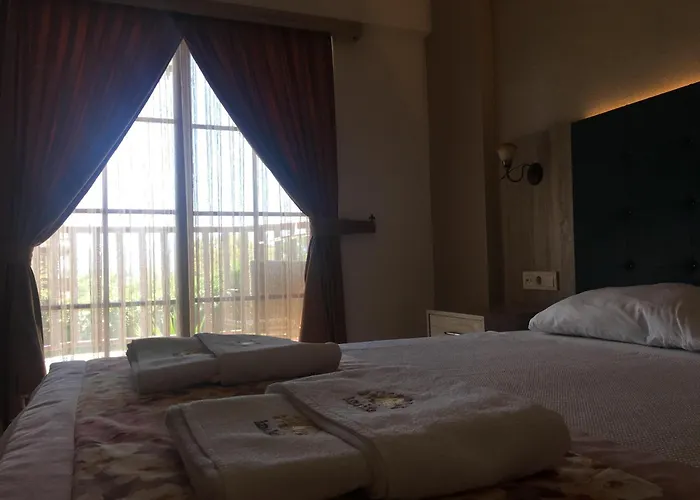 酒店 哈姆雷酒店 阿奇亚卡